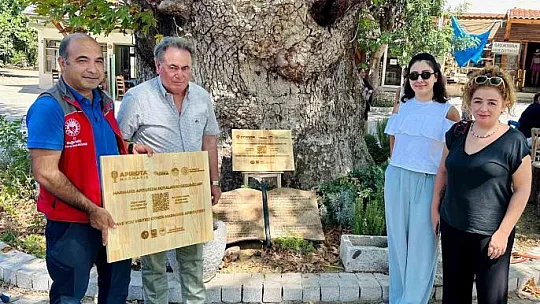 Turizm çeşitliliği artırılıyor