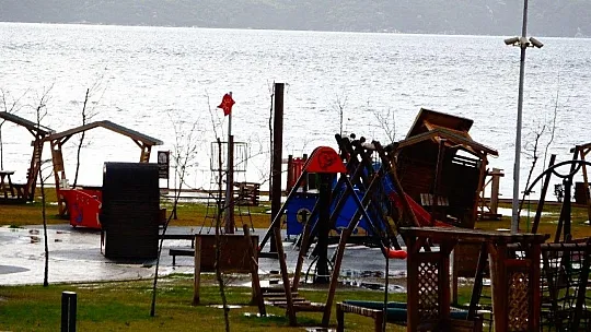 Marmaris'te yağmur ve fırtına ağaçları devirdi