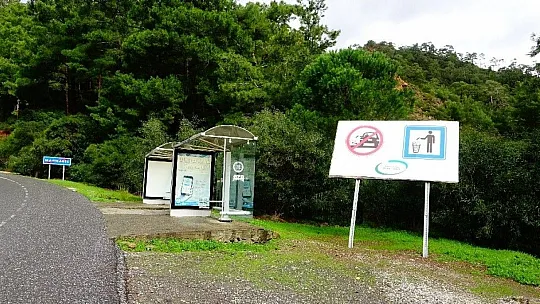 Marmaris'te yağmur ve fırtına ağaçları devirdi