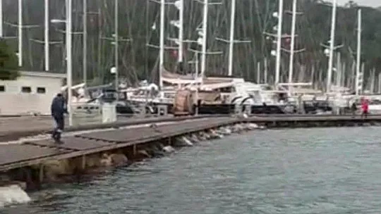 Marmaris'te yağmur ve fırtına ağaçları devirdi
