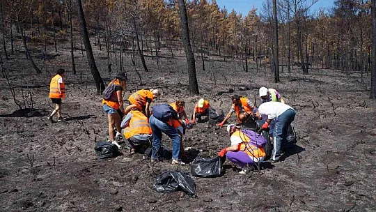 Marmaris'te yanan alanlarda temizlik yapıldı