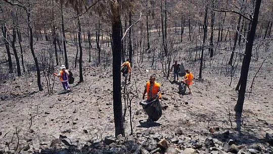 Marmaris'te yanan alanlarda temizlik yapıldı
