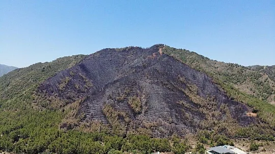 Marmaris'te yanan ormanlık alan havadan görüntülendi