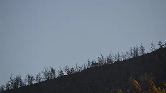 Marmaris'te yanan ormanlık alan havadan görüntülendi