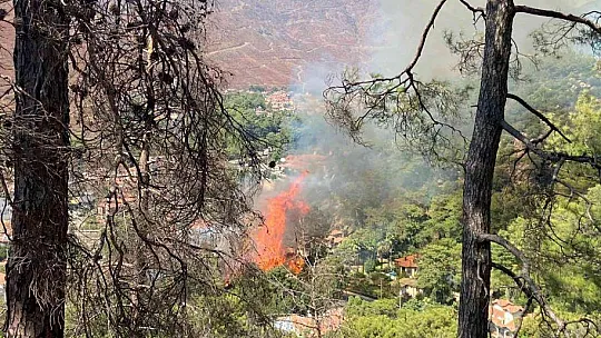 MARMARİS'TE YANGIN YIL DÖNÜMÜNDE YİNE ORMAN YANGINI