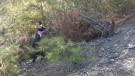 Marmaris'te yangınla ilgili vatandaşların şüphelendiği 2 kişi aranıyor