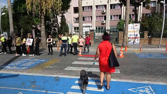 MARMARİS'TE YAYA GEÇİTLERİ KIRMIZIYA BOYANDI