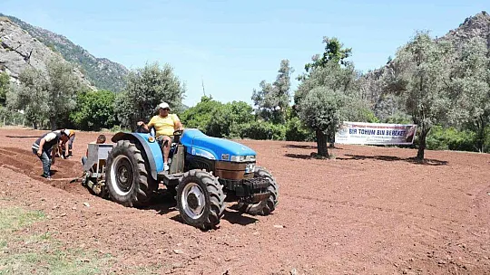 Marmaris'te yer fıstığında tohum takası gerçekleşti