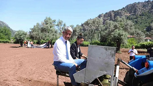 Marmaris'te yer fıstığında tohum takası gerçekleşti