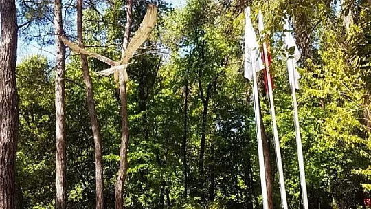 Marmaris'te Yılan Kartalı doğaya salındı