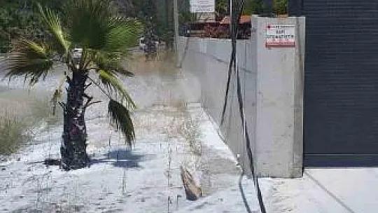 Yangın büyümeden söndürüldü