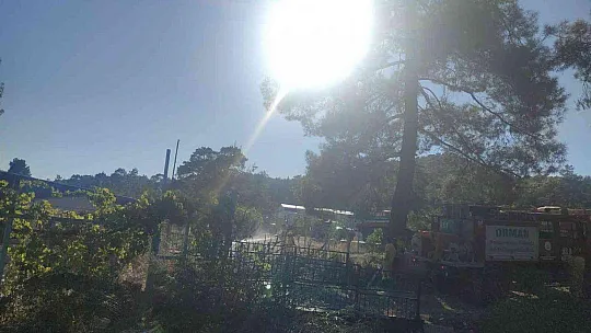 Marmaris'teki yangın ormana sıçramadan kontrol altına alındı