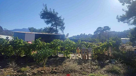 Marmaris'teki yangın ormana sıçramadan kontrol altına alındı