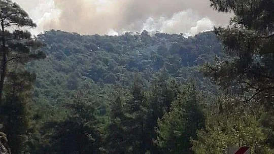 Marmaris'teki yangına 1 uçak 8 helikopterle müdahale ediliyor