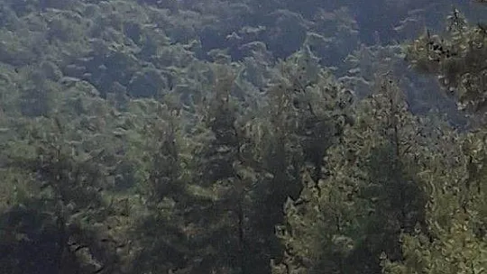 Marmaris'teki yangına 1 uçak 8 helikopterle müdahale ediliyor