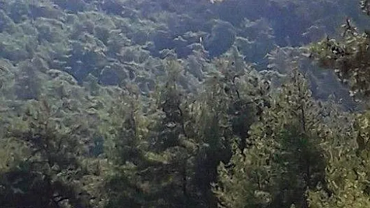 Marmaris'teki yangına 1 uçak 8 helikopterle müdahale ediliyor
