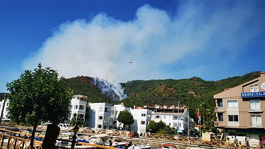 Yangına müdahale sürüyor