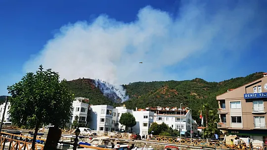 Yangına müdahale sürüyor