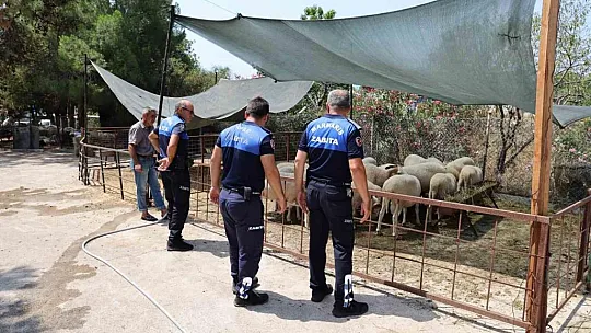 Zabıtadan Bayram Öncesi Denetim