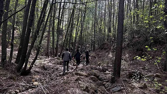 Fotokapan kurup yangınlardan sonraki yaban hayatı inceliyorlar