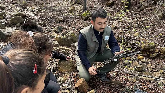 Fotokapan kurup yangınlardan sonraki yaban hayatı inceliyorlar