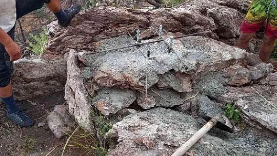 Marmarisli vatandaşlar yanan tepeye Türk Bayrağı dikti