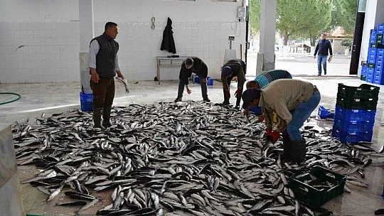 Mayıs ayında en fazla ihracat Rusya'ya