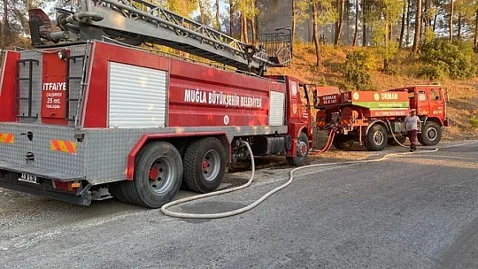 Maytap ile ormanı yaktılar