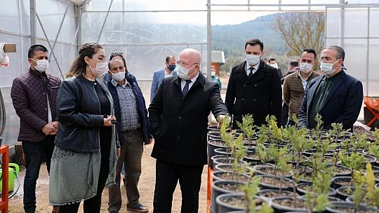 Menteşe Belediyesi bitkilerini kendi serasında üretiyor