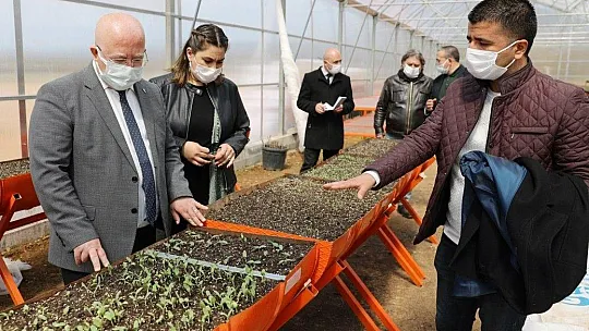 Menteşe Belediyesi bitkilerini kendi serasında üretiyor