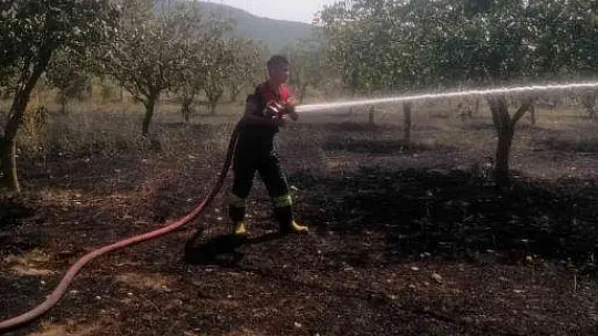 Menteşe'de arazi yangını