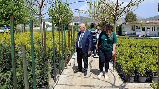 Menteşe'de bahar renkleri çiçek açtı
