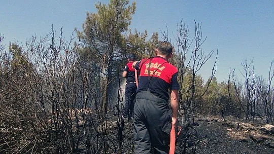 Menteşe'de çalılık yangını