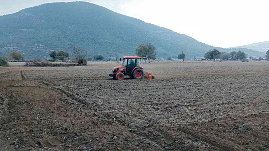 MENTEŞE'DE KARAKILÇIK ATA TOHUMU TOPRAKLA BULUŞTU