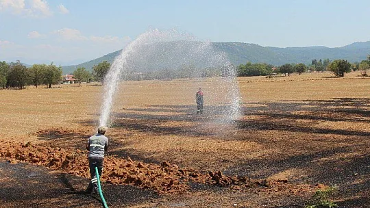 Menteşe'de ot yangını büyümeden söndürüldü