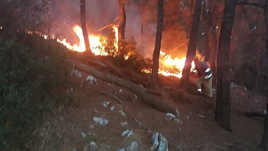 Menteşe'de yıldırım yangını büyümeden söndürüldü