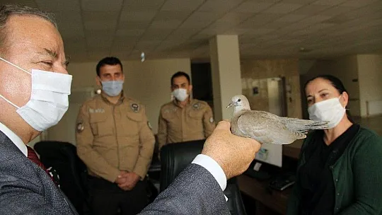 Menteşe Kaymakamlığının 'Paşa'sı