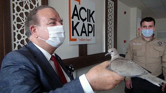 Menteşe Kaymakamlığının 'Paşa'sı
