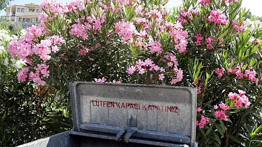 Çöp Konteynerleri Temizleniyor