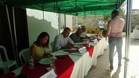 MENTEŞELİ KAVUN ÜRETİCİLERİ KIYASIYA YARIŞTI
