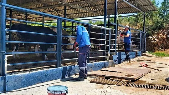 Mezbahalar Kurban'a hazır