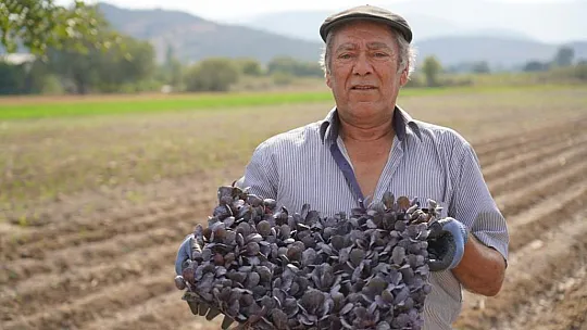 Belediye Üretiyor, Üretimi Destekliyor 