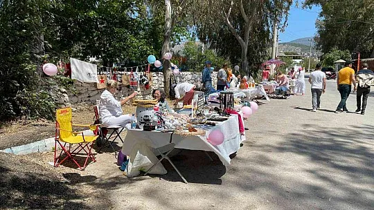 Milas'ta 'Anneler Günü Bahar Şenliği' düzenlendi