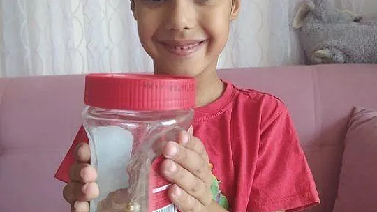 Milas'ta 'İnsan yüzlü örümcek' bulundu