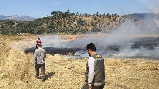 Milas'ta arazi yangını