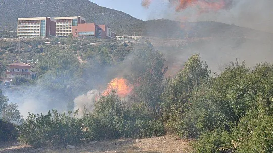 Milas'ta aynı noktayı aynı gün 6 kez yaktılar
