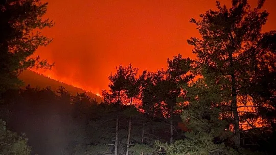 Milas'ta başlayan yangın Bodrum'a sıçradı