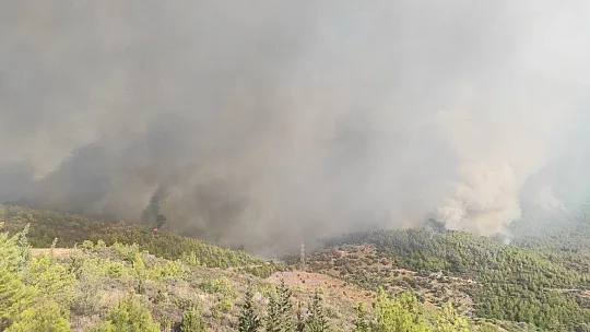 Milas'ta başlayan yangın Bodrum'a sıçradı