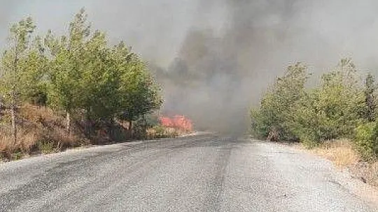 Milas'ta başlayan yangın Bodrum'a sıçradı