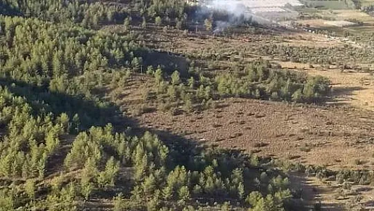 Milas'ta başlayan yangın ekiplerin müdahalesi ile söndürüldü